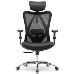 SIHOO Ergonomics Office Chair Computer Chair Desk Chair, Adjustable Headrests Chair Backrest and Armrests Mesh Chair (Black)…