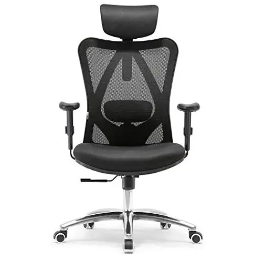 SIHOO Ergonomics Office Chair Computer Chair Desk Chair, Adjustable Headrests Chair Backrest and Armrests Mesh Chair (Black)…