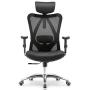 SIHOO Ergonomics Office Chair Computer Chair Desk Chair, Adjustable Headrests Chair Backrest and Armrests Mesh Chair (Black)…