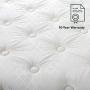 Zinus 12 Inch Foam and Spring Mattress / CertiPUR-US Certified Foams / Mattress-in-a-Box, Full