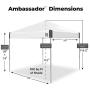 E-Z UP Ambassador Instant Shelter Canopy, 10 x 10, Roller Bag and 4 Piece Spike Set, Steel Gray