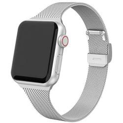 Compatible with Apple Watch Bands 38mm 40mm 42mm 44mm, Stainless Steel Metal Mesh Wristband Loop Replacement Band for Women Men Iwatch Series 6 5 4 3 2 1 with Gift Package (Silver, 38mm/40mm)