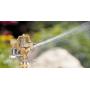Orbit 55032 1/2'' BRS Sprinkler Head, Connection, Silver and gold