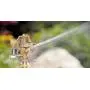 Orbit 55032 1/2'' BRS Sprinkler Head, Connection, Silver and gold Orbit 55032 1/2'' BRS Sprinkler Head, Connection, Silver and gold
