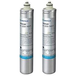 Everpure EV927441 Replacement Cartridge for H-300-NXT Drinking Water System (Pack of 2)