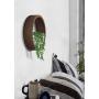Ecosides Wall Mounted Planter Wall Hanging Planters Metal Plant Terrarium for Indoor Planter, Air Plant Holders Decorative Morden Circle Iron Vase for Succulent Indoor Wall Decor(12'' H, Brown)