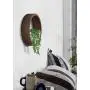 Ecosides Wall Mounted Planter Wall Hanging Planters Metal Plant Terrarium for Indoor Planter, Air Plant Holders Decorative Morden Circle Iron Vase for Succulent Indoor Wall Decor(12'' H, Brown) Ecosides Wall Mounted Planter Wall Hanging Planters Metal Plant Terrarium for Indoor Planter, Air Plant Holders Decorative Morden Circle Iron Vase for Succulent Indoor Wall Decor(12'' H, Brown)