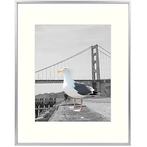 Frametory, Metal Aluminum Frame Collection with Ivory Color Mat & Real Glass (Silver, 1-Pack, 16x20 for 11x14 Photo) Frametory, Metal Aluminum Frame Collection with Ivory Color Mat & Real Glass (Silver, 1-Pack, 16x20 for 11x14 Photo)
