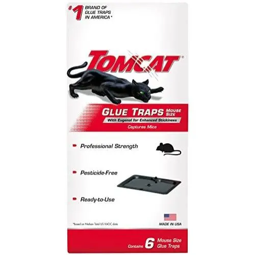 Tomcat Glue Traps Mouse Size with Eugenol for Enhanced Stickiness, Captures Mice and Other Household Pests, Professional Strength, Pesticide-Free and Ready-to-Use, 6 Glue Traps Tomcat Glue Traps Mouse Size with Eugenol for Enhanced Stickiness, Captures Mice and Other Household Pests, Professional Strength, Pesticide-Free and Ready-to-Use, 6 Glue Traps