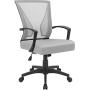 Furmax Office Mid Back Swivel Lumbar Support Desk, Computer Ergonomic Mesh Chair with Armrest (Gray)