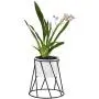 Planter Pot Indoor, Flowerplus 4.33 Inch White Ceramic Medium Succulent Cactus Flower Plant Round Bowl with Metal Stand Holder and Plants Sign for Indoors Outdoor Home Garden Kitchen Decor (Black) Planter Pot Indoor, Flowerplus 4.33 Inch White Ceramic Medium Succulent Cactus Flower Plant Round Bowl with Metal Stand Holder and Plants Sign for Indoors Outdoor Home Garden Kitchen Decor (Black)