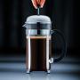 Bodum 1928-16US4 Chambord French Press Coffee Maker, 1 Liter, 34 Ounce, Chrome
