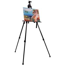 Artecho Artist Easel Display Easel Stand, 2 Pack Metal Tripod Stand Easel for Painting, Hold Canvas from 21'' to 66'', Floor and Tabletop Displaying, Painting with Portable Bag