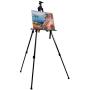 Artecho Artist Easel Display Easel Stand, 2 Pack Metal Tripod Stand Easel for Painting, Hold Canvas from 21'' to 66'', Floor and Tabletop Displaying, Painting with Portable Bag