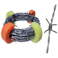 Light Duty 4 Pt Real Barbed Wire - 18 Gauge 4 Point - (50 Feet) for Crafts and Yard - Made in USA