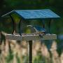 Birds Choice Bluebird House Pole Set, 54 inch Birds Choice Bluebird House Pole Set, 54 inch