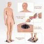 Giantex 6 FT Adjustable Male Mannequin Make-up Manikin Metal Stand Plastic Full Body Realistic Giantex 6 FT Adjustable Male Mannequin Make-up Manikin Metal Stand Plastic Full Body Realistic