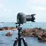 SIOTI Ball Head Camera Mount, Ball Head Tripod Mount, Camera Tripod Mount for DSLR Camera, Mirrorless Camera, Camcorder, Telescope, Action Camera, Slider, Tripod (36mm Ball Head)