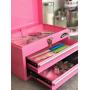 APOLLO TOOLS Pink Metal Tool Box with Deep Top Compartment and 2 Drawers in Heavy-Duty Steel Chest With Ball Bearing Opening And Powder Coated Finish - Pink Ribbon - DT5010P