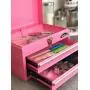 APOLLO TOOLS Pink Metal Tool Box with Deep Top Compartment and 2 Drawers in Heavy-Duty Steel Chest With Ball Bearing Opening And Powder Coated Finish - Pink Ribbon - DT5010P APOLLO TOOLS Pink Metal Tool Box with Deep Top Compartment and 2 Drawers in Heavy-Duty Steel Chest With Ball Bearing Opening And Powder Coated Finish - Pink Ribbon - DT5010P