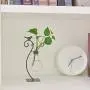 GAIATOP Desktop Glass Planter Hydroponics Vase, Planter Bulb Vase with Metal Stand for Home Office Garden Wedding Decoration, Modern Creative Bird Plant Terrarium Stand GAIATOP Desktop Glass Planter Hydroponics Vase, Planter Bulb Vase with Metal Stand for Home Office Garden Wedding Decoration, Modern Creative Bird Plant Terrarium Stand
