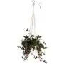 Encore Essentials Macrame Plant Hangers Indoor w/ 2 Hook Options - 37'' Ivory Hanging Planter Basket with Decorative Wood Beads - Hanging Flower Pot Holder - Boho Plant Hanger Style for Indoor/Outdoor Encore Essentials Macrame Plant Hangers Indoor w/ 2 Hook Options - 37'' Ivory Hanging Planter Basket with Decorative Wood Beads - Hanging Flower Pot Holder - Boho Plant Hanger Style for Indoor/Outdoor