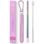 Flyby Portable Reusable Drinking Straws | Collapsible & Foldable Telescopic Stainless Steel Metal Straw Dispenser | Final Aluminum Case, Long Cleaning Brush, Silicone Tip | Pink Rainbow | 1-Pack