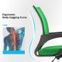 Ergonomic Office Chair Cheap Desk Chair Mesh Executive Computer Chair Lumbar Support for Women&Men, Green