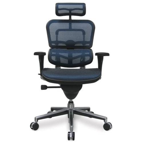 Ergohuman Eurotech Mesh Chair - 18.1A 22.9'' Seat Height - High-Back Chair with Headrest - Blue - Blue