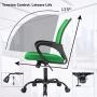 Ergonomic Office Chair Cheap Desk Chair Mesh Executive Computer Chair Lumbar Support for Women&Men, Green