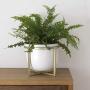Ceramic Flower Plant Pot with Stand - 6.7 Inch White Indoor Planter Pot with Gold Metal Stand for Herbs Orchids Cacti Succulents