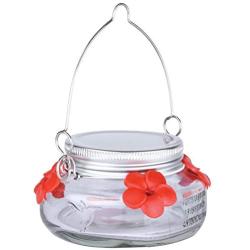 Natures Way Bird Products MJF1 Natures Way Mason Jar Hummingbird Dish Feeder, Clear