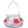 Natures Way Bird Products MJF1 Natures Way Mason Jar Hummingbird Dish Feeder, Clear Natures Way Bird Products MJF1 Natures Way Mason Jar Hummingbird Dish Feeder, Clear