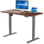 Flexispot Electric Standing Desk Height Adjustable Stand Up Desk with Memory Controller Ergonomic Workstation with Desktop 42 x 24 Inches Home Office (Gray Frame + Mahogany Top)