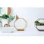 Ivolador Modern Wall Planter, Metal Wire Octagon Design Wall-Mounted Shelves with Ceramic Flower Pot, Air Plant Container Hanging Vase Desktop Succulents Planter-Golden