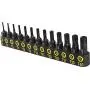 LEXIVON Tamper Proof Torx Bit Set, Premium S2 Alloy Steel | 13-Piece Security Star Bits, T4 - T40 | Precision CNC Machined (LX-301)