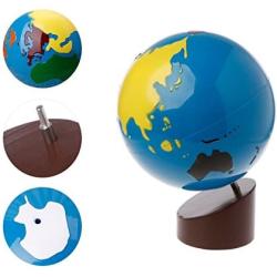 LANDUM Globe Montessori Geography Material Kids Early Learning Toy Of World Parts Multicolor