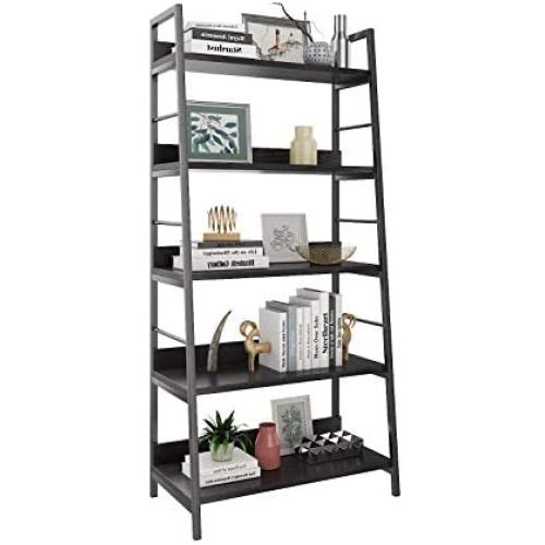 HIMIMI 5 Shelf Ladder Bookcase, Industrial Bookshelf Wood and Metal Bookshelves, Plant Flower Stand Rack Book Rack Storage Shelves for Home Decor HIMIMI 5 Shelf Ladder Bookcase, Industrial Bookshelf Wood and Metal Bookshelves, Plant Flower Stand Rack Book Rack Storage Shelves for Home Decor