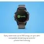 Garmin fenix 5 Plus, Premium Multisport GPS Smartwatch, Features Color Topo Maps, Heart Rate Monitoring, Music and Contactless Payment, Carbon Gray Titanium