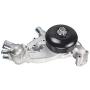 IRONTREE AW6009 Professional Water Pump Kit with 2 Metal Gaskets and Thermostat Compatible with Chevy Tahoe, GMC Yukon, Buick, Cadillac, Hummer, Isuzu, Saab, 4.8L 5.3L 6.0L V8 Engine, OE Replacement