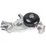 IRONTREE AW6009 Professional Water Pump Kit with 2 Metal Gaskets and Thermostat Compatible with Chevy Tahoe, GMC Yukon, Buick, Cadillac, Hummer, Isuzu, Saab, 4.8L 5.3L 6.0L V8 Engine, OE Replacement