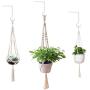 6 inch Decorative Iron Metal Wall Hook Indoor, Plant Hanger Bracket Lantern Wall Hanger for Hanging Outdoor Solar Lights, Bird Feeders, Mason Jars, Plant Hangers, Flower Basket 2 Pack (White)