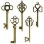 DuomiW Mixed 50 Antique Bronze Finish Skeleton Keys Rustic Key for DIY Wedding Party Decoration Favor (5 Different Styles x 10) DuomiW Mixed 50 Antique Bronze Finish Skeleton Keys Rustic Key for DIY Wedding Party Decoration Favor (5 Different Styles x 10)