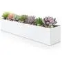 Modern White Rectangle Planter Box | 16'' Metal Planter Perfect as a Succulent Planter | Narrow Planter Box for Table or Window Sill Planters Indoor | Rectangular Stainless Steel Long Planter Modern White Rectangle Planter Box | 16'' Metal Planter Perfect as a Succulent Planter | Narrow Planter Box for Table or Window Sill Planters Indoor | Rectangular Stainless Steel Long Planter