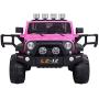 VALUE BOX Safety 12V Battery Electric Remote Control Car, Kids Toddler Ride On Cars Motorized Vehicles Toy Car, Wheels Suspension, Seat Belts, LED Lights and Realistic Horns (Pink)