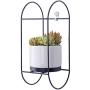 VanEnjoy Modern White Ceramic Desktop Wall Planters Vase and Copper, Succulent Pot Air Plants Mini Cactus Artificial Flowers Hanging Geometric Wall Decor (Oval Black)