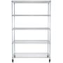 TRINITY 5-Tier NSF EcoStorage Shelving Rack with Wheels, 48 by 24 by 72-Inch, Chrome