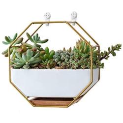 Ivolador Modern Wall Planter, Metal Wire Octagon Design Wall-Mounted Shelves with Ceramic Flower Pot, Air Plant Container Hanging Vase Desktop Succulents Planter-Golden