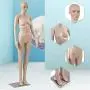Female Mannequin Full Body Mannequin Torso, Adjustable Manikin Stand Dress Form Dress Model Dressmakers Mannequin Plastic Realistic Display Mannequin with Metal Base 69 Inch Female Mannequin Full Body Mannequin Torso, Adjustable Manikin Stand Dress Form Dress Model Dressmakers Mannequin Plastic Realistic Display Mannequin with Metal Base 69 Inch