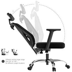 Hbada Ergonomic Office Desk Chair with Adjustable Armrest, Lumbar Support, Headrest and Breathable Skin-Friendly Mesh, Black